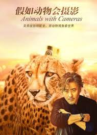 假如动物会摄影第01集